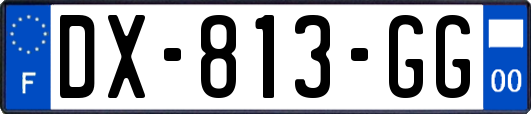 DX-813-GG