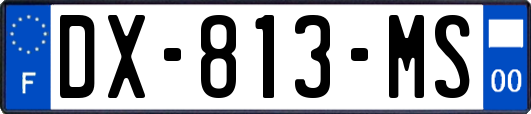 DX-813-MS