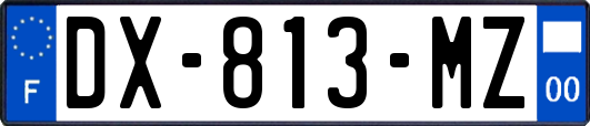 DX-813-MZ