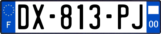 DX-813-PJ