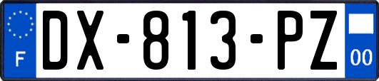 DX-813-PZ