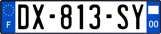 DX-813-SY