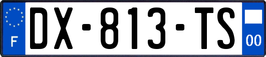 DX-813-TS
