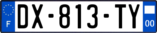 DX-813-TY