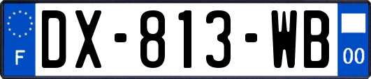 DX-813-WB