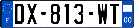 DX-813-WT