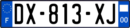 DX-813-XJ