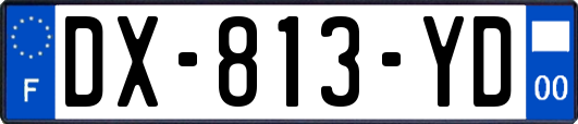 DX-813-YD