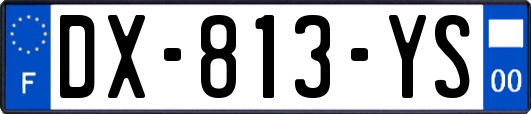 DX-813-YS