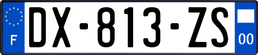 DX-813-ZS