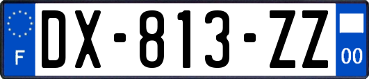 DX-813-ZZ