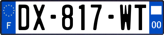 DX-817-WT