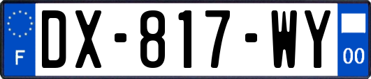 DX-817-WY