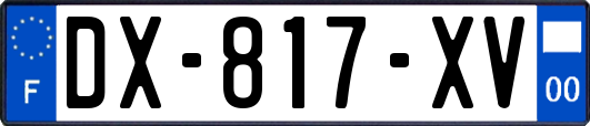 DX-817-XV