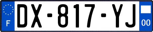 DX-817-YJ
