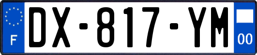 DX-817-YM