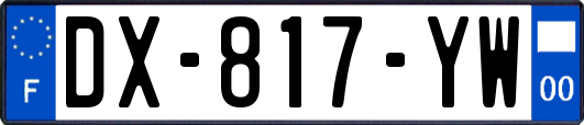 DX-817-YW