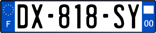DX-818-SY