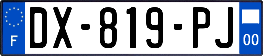 DX-819-PJ