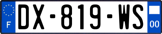 DX-819-WS