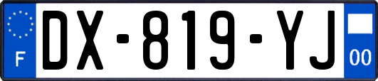 DX-819-YJ