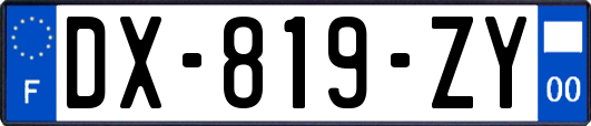 DX-819-ZY