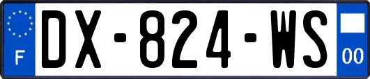 DX-824-WS