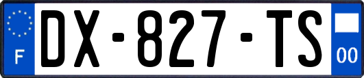 DX-827-TS