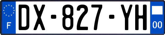 DX-827-YH