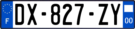 DX-827-ZY