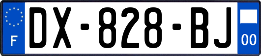 DX-828-BJ