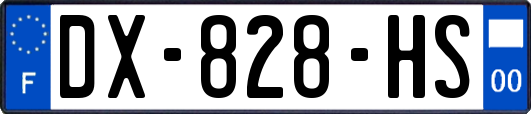 DX-828-HS