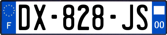 DX-828-JS