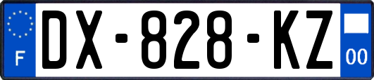 DX-828-KZ