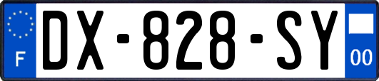 DX-828-SY