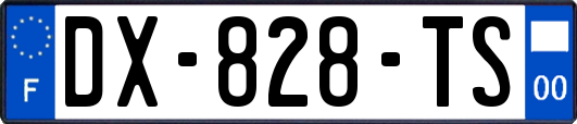 DX-828-TS