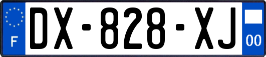 DX-828-XJ