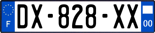 DX-828-XX