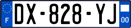 DX-828-YJ