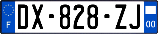 DX-828-ZJ