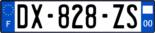 DX-828-ZS