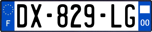 DX-829-LG