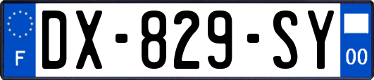 DX-829-SY