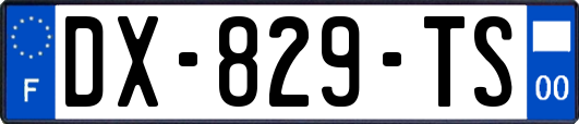 DX-829-TS