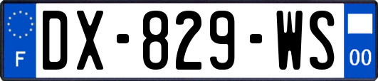 DX-829-WS