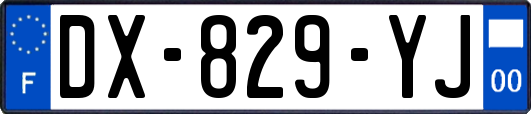 DX-829-YJ