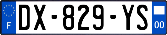 DX-829-YS