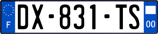 DX-831-TS