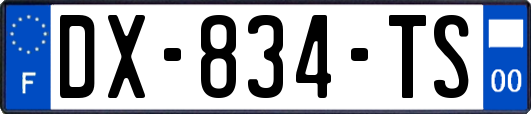 DX-834-TS