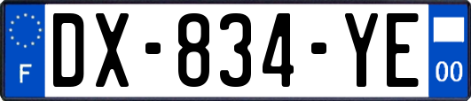 DX-834-YE